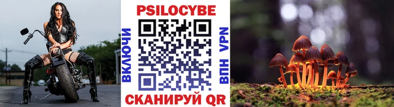 Купить закладки  Рассказово  Галлюциногенные грибы Psilocybe 